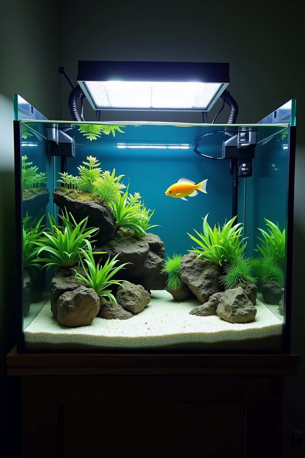 suesswasser aquarium einrichten ideen outline 8
